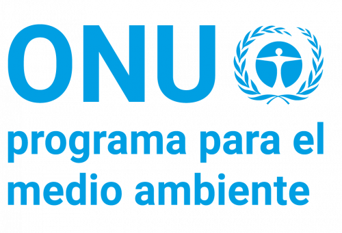 UNEP_2019_Spanish