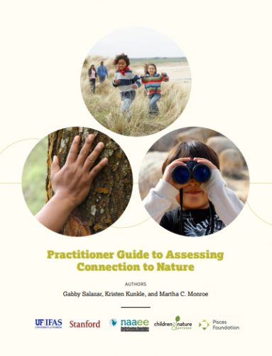 practitioner guide