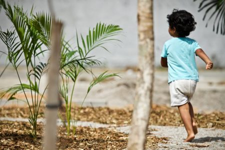 Criança corre, de costas para a câmera, por um caminho cercado por mudas plantadas recentemente, em um espaço ao ar livre.