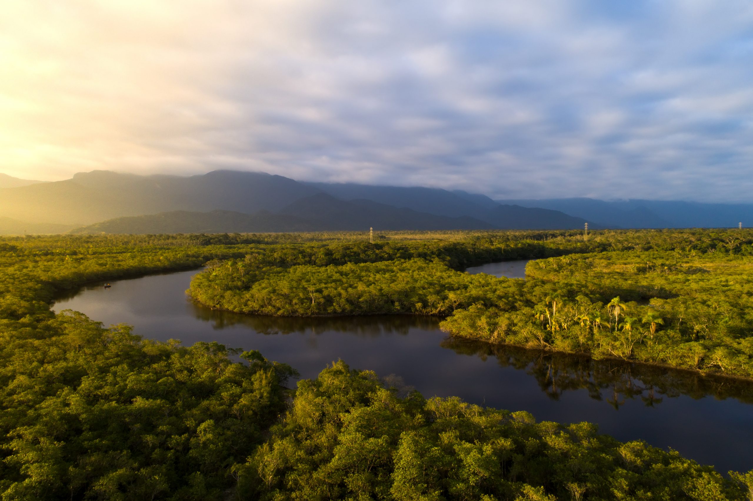 braço de rio corta a floresta Amazônica.