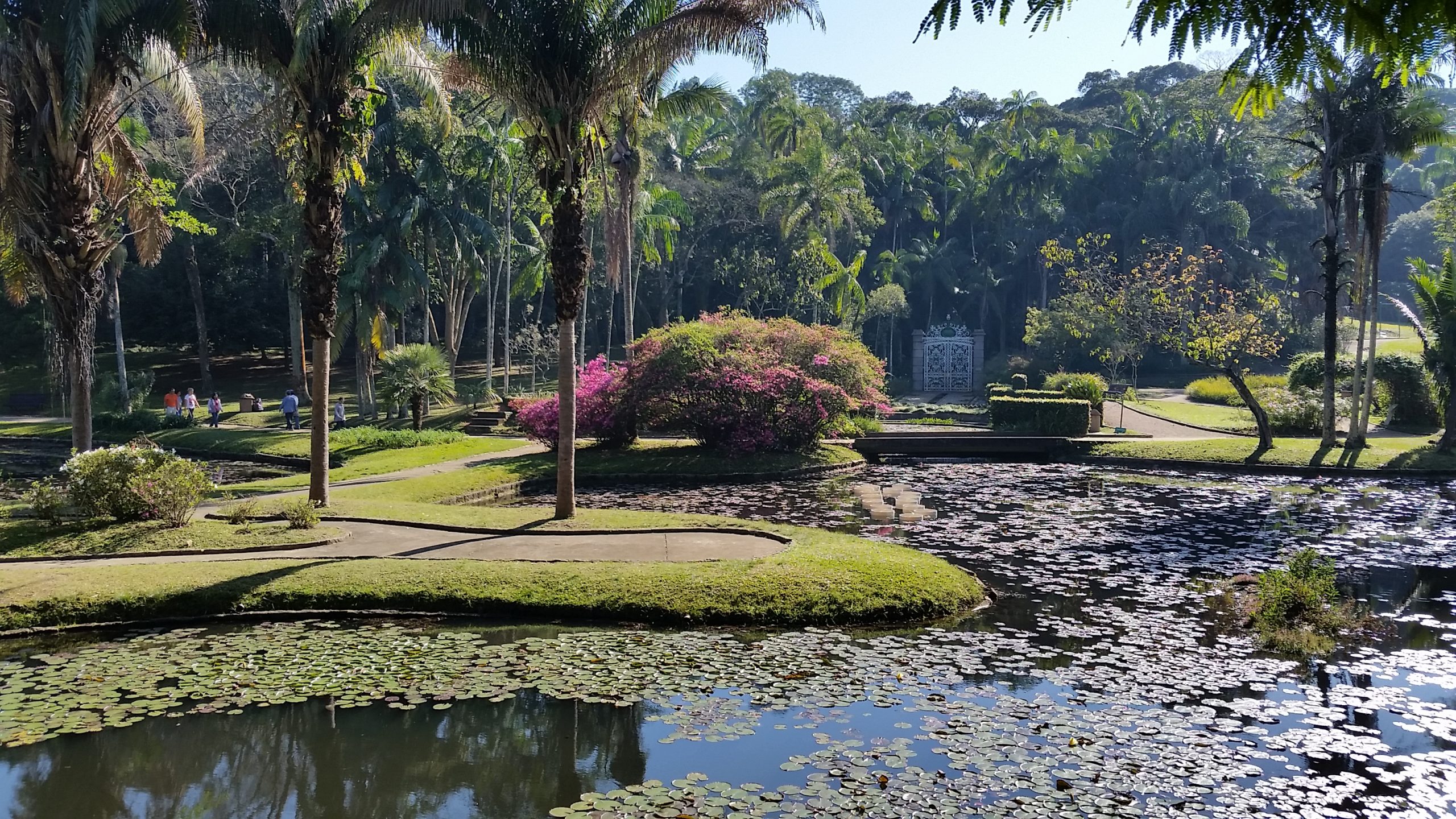 Lago rodeado de palmeiras e flores do Parque Estadual Fontes do Ipiranga.