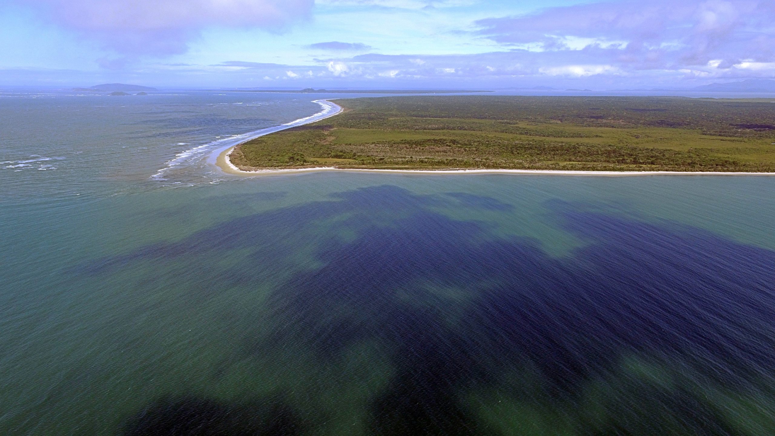 Foto de mar e vegetação no Parque Nacional do Superagui.