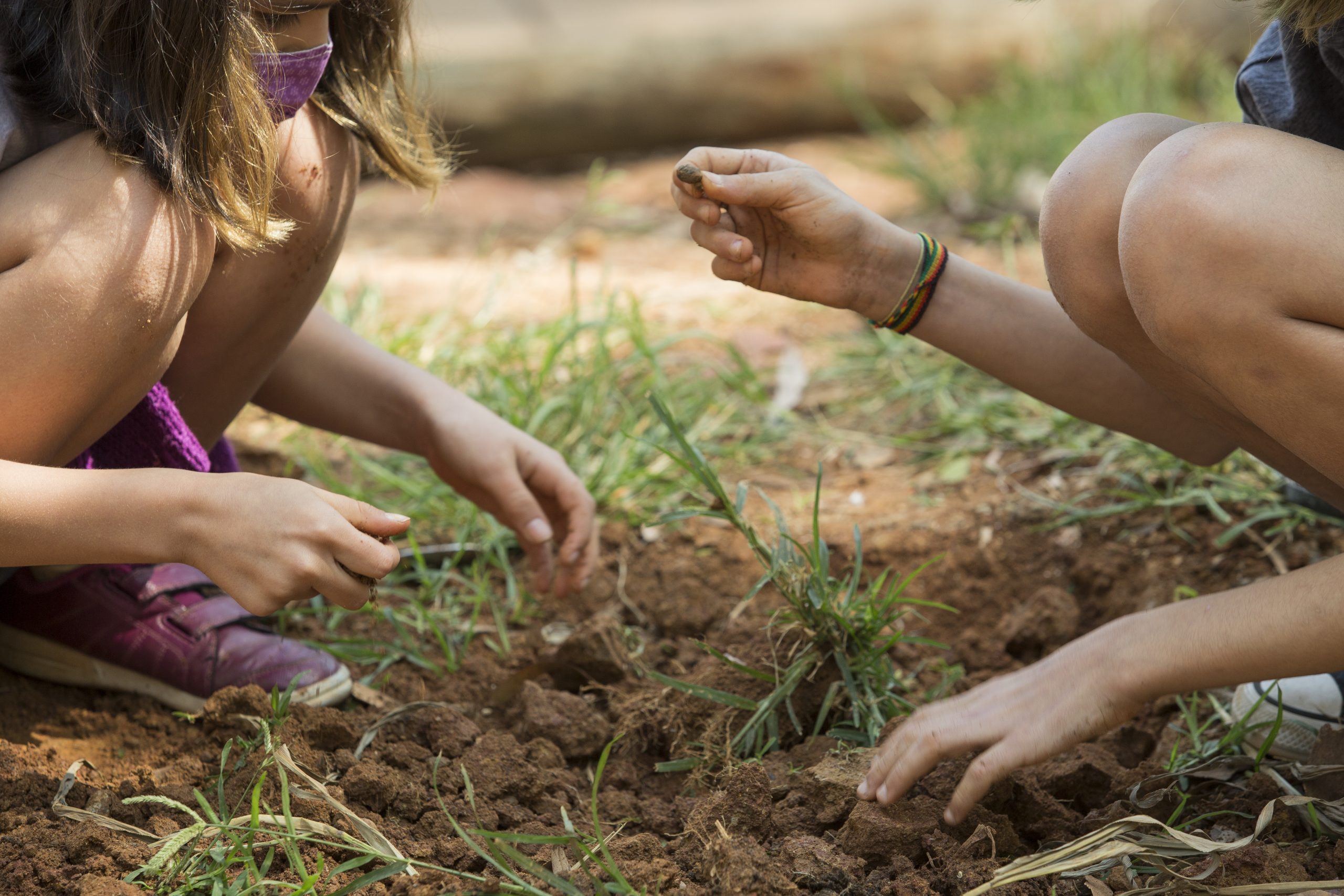 Duas crianças cavam a terra em busca de tesouros escondidos. Uma delas segura uma pedrinha encontrada.