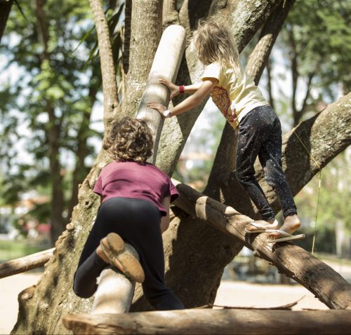 Duas crianças escalando estrutura de madeira apoiada em árvore de galhos baixos.