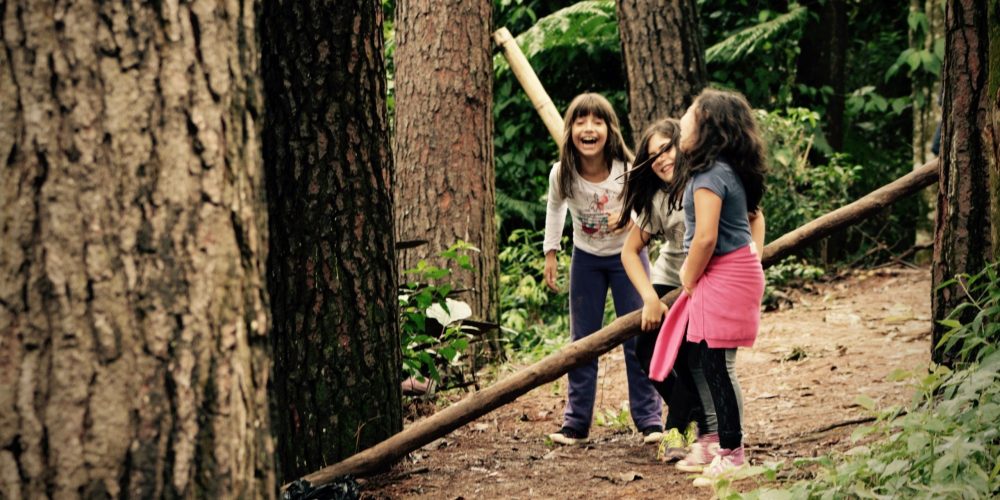 foto de três crianças, em ambiente natural, rodeadas de árvores e segurando troncos nas mãos.