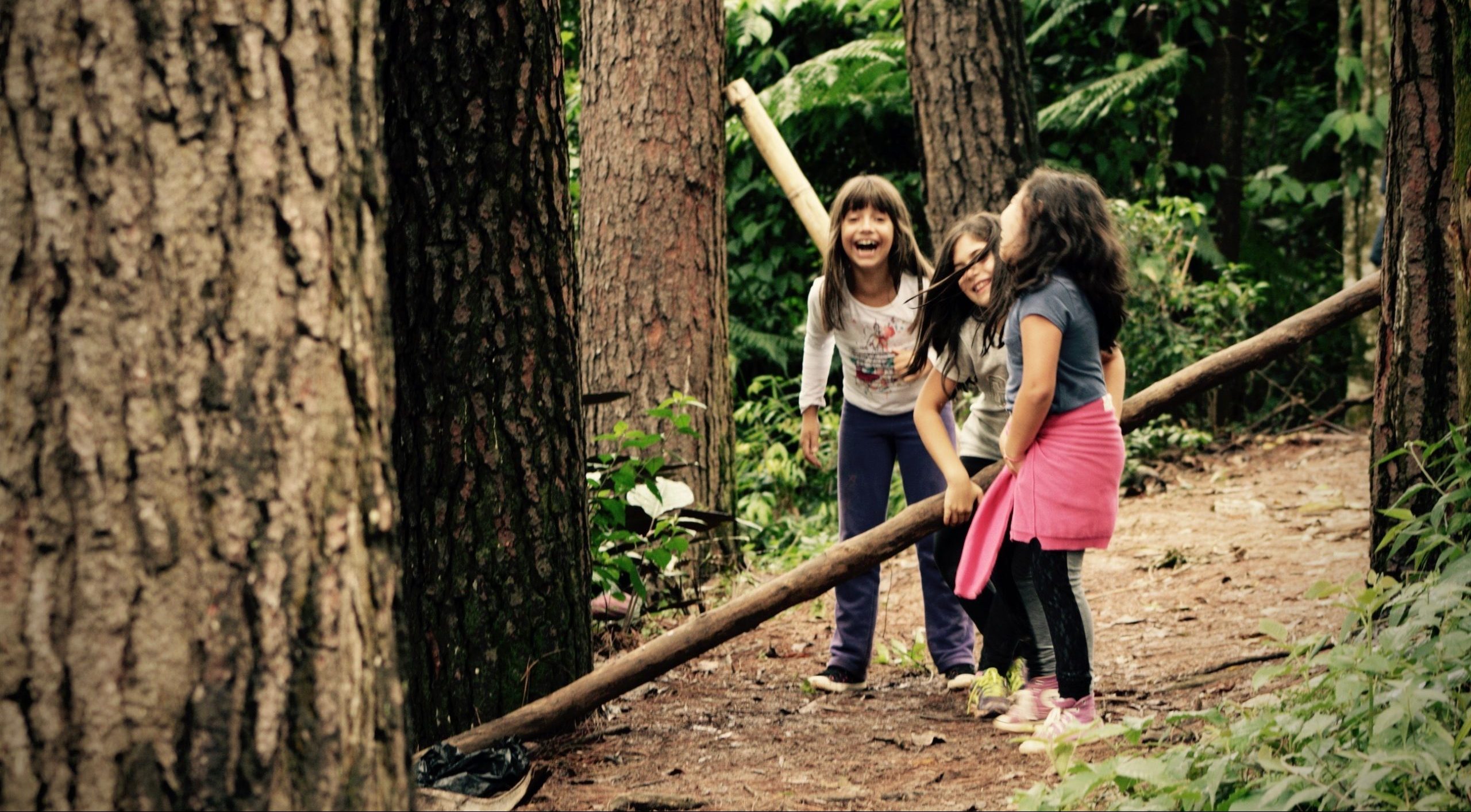 foto de três crianças, em ambiente natural, rodeadas de árvores e segurando troncos nas mãos.