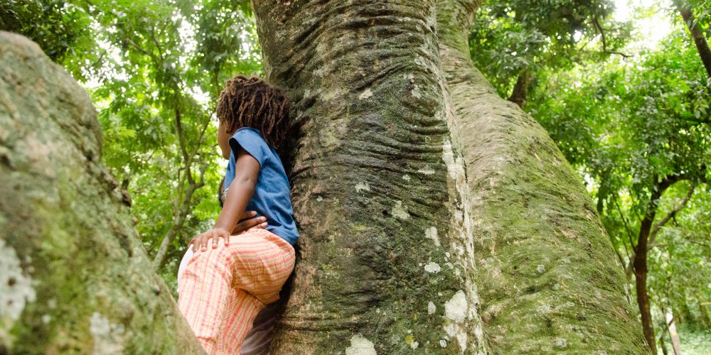 Criança negra em cima de uma árvore, olhando para o alto. Legal policy Brief Criança e Natureza
