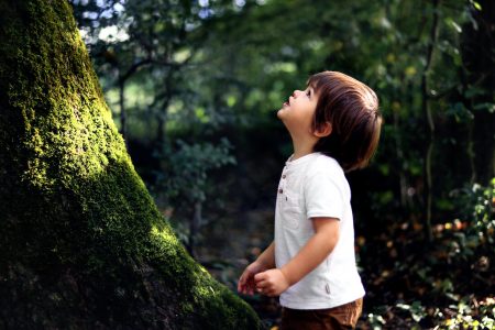 Criança olhando para o alto, em frente a um grande tronco e cercada por vegetação.