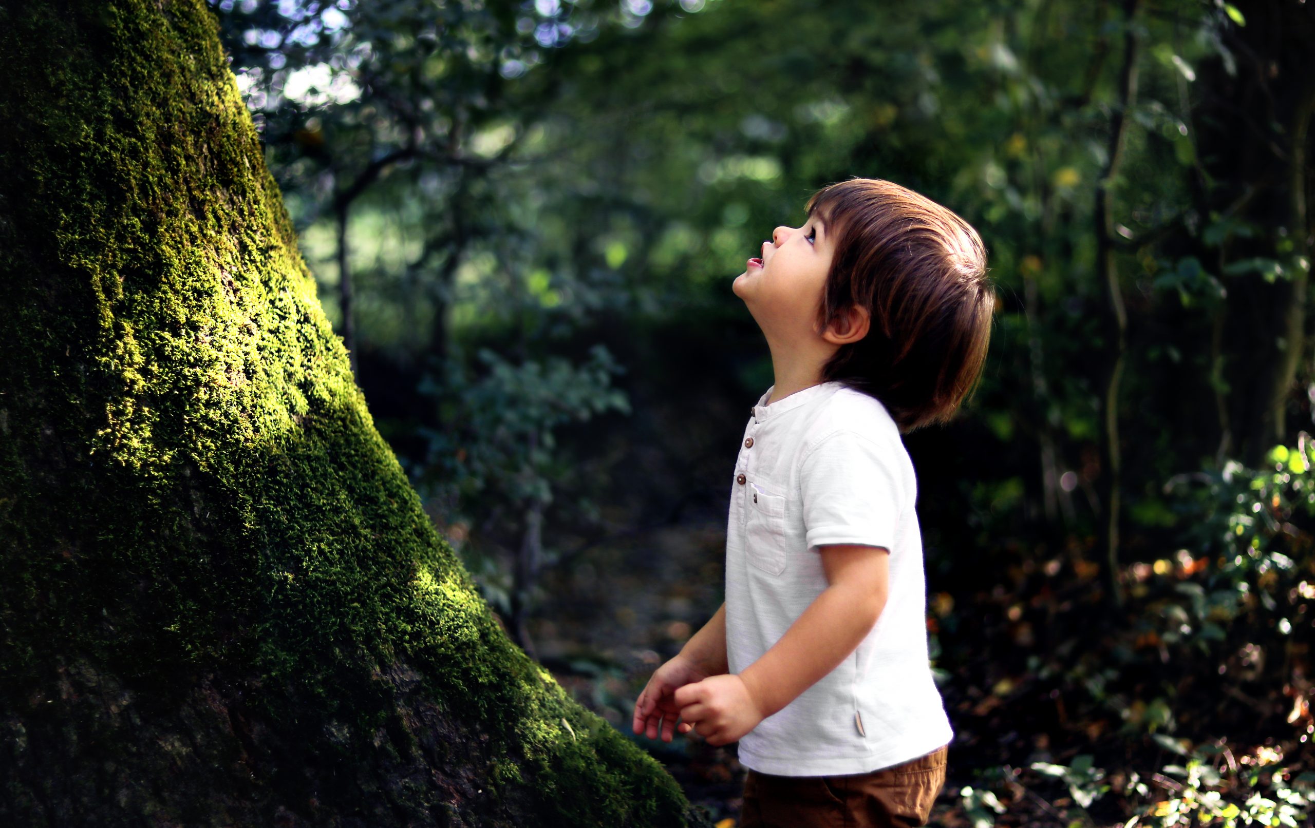 Criança olhando para o alto, em frente a um grande tronco e cercada por vegetação.