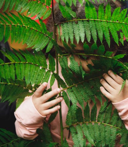 Criança abraçando e cheirando uma grande folha.