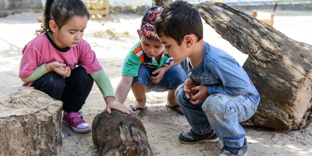 Crianças brincando com um coelho em um pátio escolar. Desemparedamento.