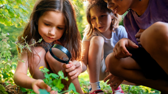 Crianças observando uma flor, ao ar livre, em espaços mais verdes e saudáveis para as crianças