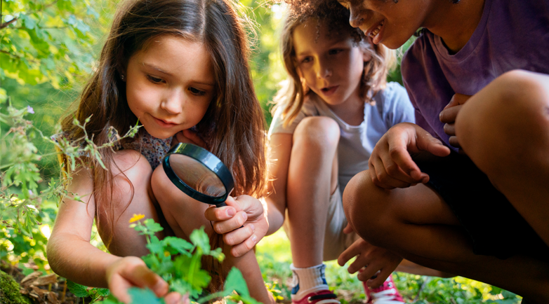 Crianças observando uma flor, ao ar livre, em espaços mais verdes e saudáveis para as crianças