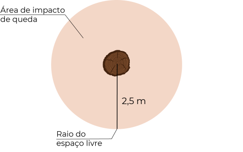 Desenho esquemático mostra corte horizontal de um trepa-tronco vertical. No centro, em marrom, o diâmetro da tora, e, ao redor dela, um círculo rosado que delimita a área de impacto de queda, com o raio do espaço livre sinalizado, medindo 2,5 m.