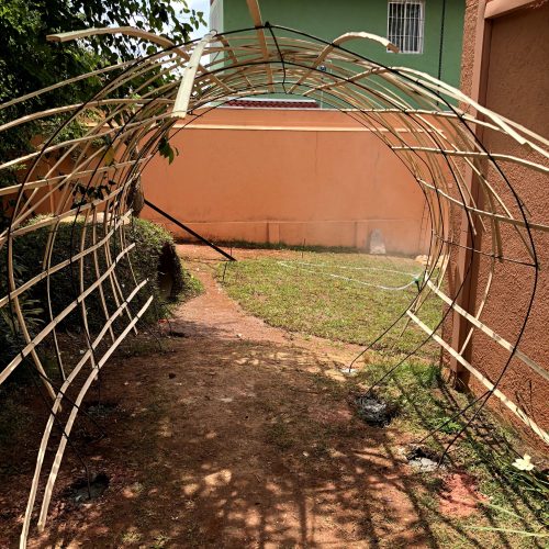 Foto mostra a estrutura de tiras de bambu de um túnel vivo, montada num quintal de chão de terra e grama, entre um arbusto e uma parede terracota. Ao fundo, se vê um muro da mesma cor e, atrás dele, uma casa verde.