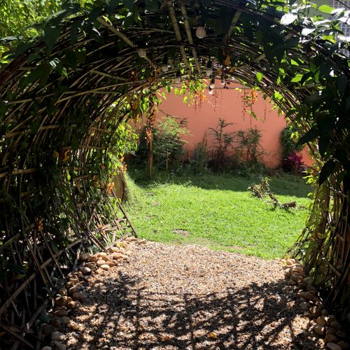 Foto mostra a vista interna de um túnel vivo já pronto, com sua estrutura de tiras de bambu toda coberta por uma trepadeira. Os raios de sol penetram entre as folhas fazendo desenhos no chão. Ao fundo, uma parede terracota.