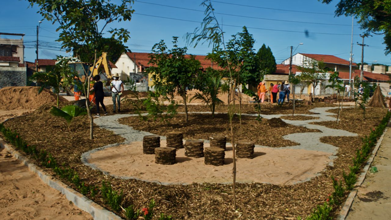 Microparque José Leon, Fortaleza / Foto: Tibico Brasil