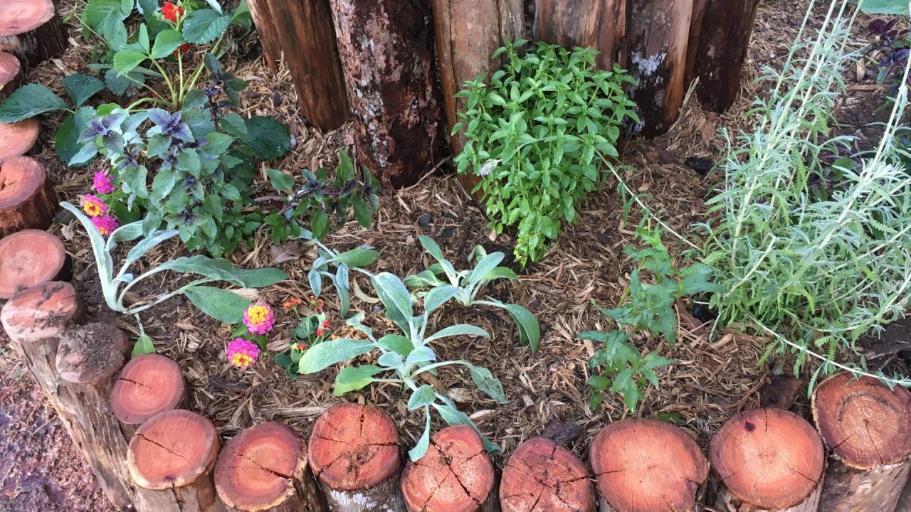 Parque Naturalizado Praça Horácio Sabino, São Paulo / Foto: Carolina Tarrio