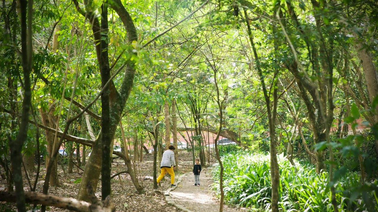 Parque Tereza Maia, Cotia / Foto: Rinaldo Martinucci