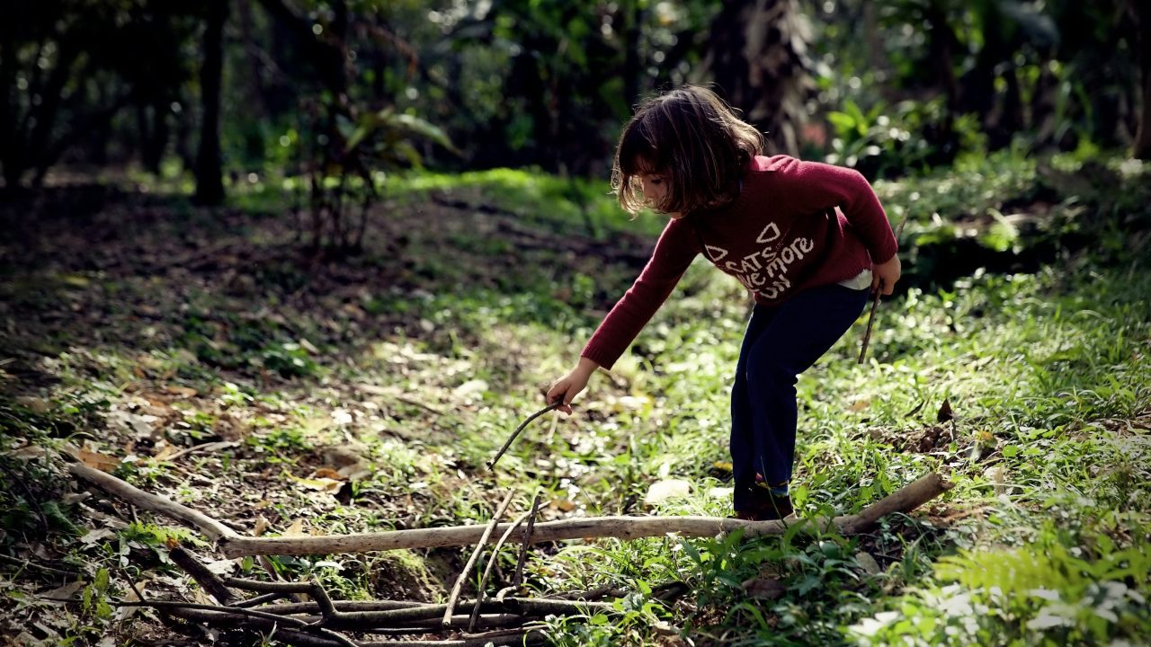 Parque Tereza Maia, Cotia / Foto: Rinaldo Martinucci
