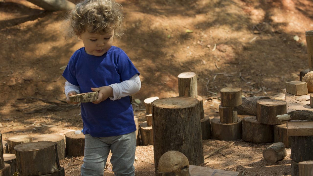 Parque Naturalizado da Praça Horácio Sabino, São Paulo / Foto: Renata Ursaia
