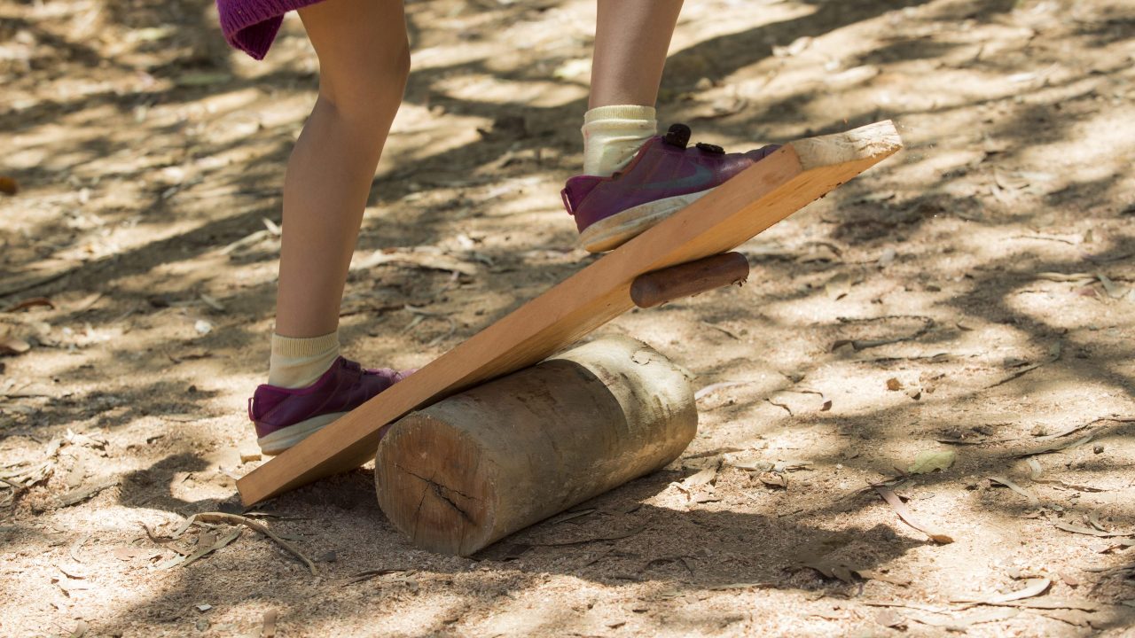 Parque Naturalizado da Praça Horácio Sabino, São Paulo / Foto: Renata Ursaia