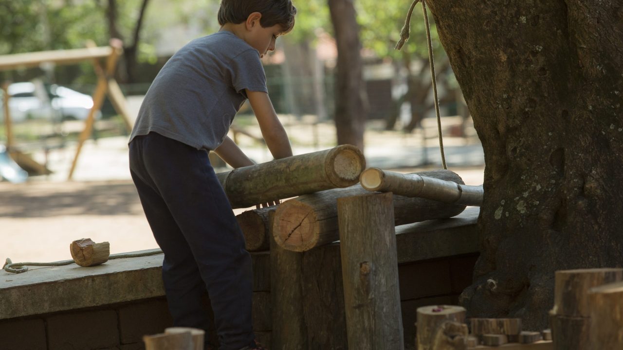 Parque Naturalizado da Praça Horácio Sabino, São Paulo / Foto: Renata Ursaia